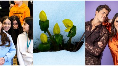 Kollage på veckans nyheter