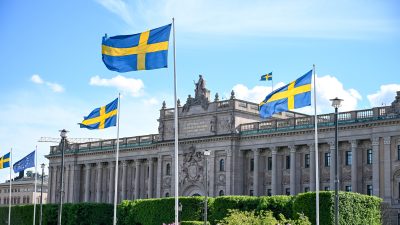 Få unga tog plats i riksdagen